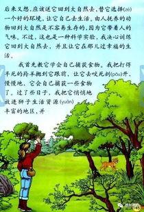 三年级语文狮子吃瓜续写,一场意外的夏日盛宴