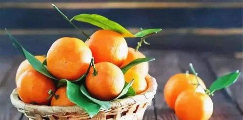 吃瓜抖音胖胖橘,吃瓜界的“欢乐源泉”