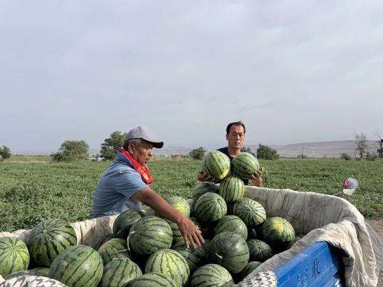 全国吃瓜中心,揭秘娱乐圈幕后风云