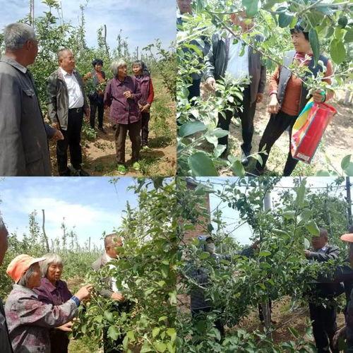 沂源南麻吃瓜,瓜果飘香，品味田园生活