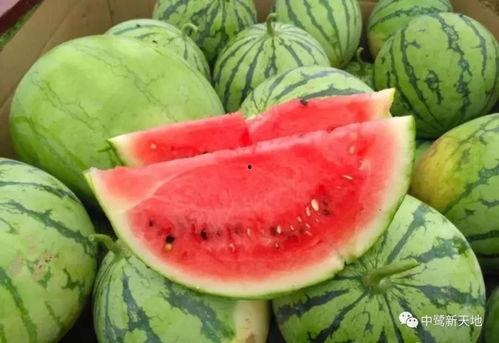 百世吃瓜 下载,揭秘网络热点的背后故事