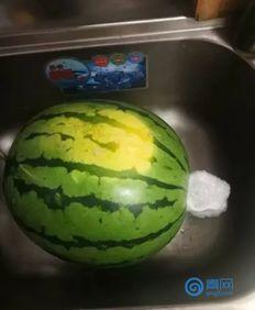 吃瓜要吐吗,吐否，这是个问题？