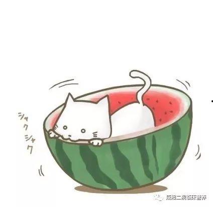 秃仔吃瓜q,揭秘娱乐圈幕后故事