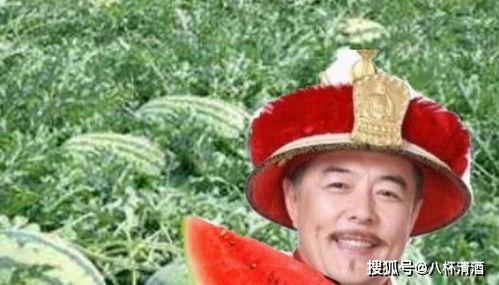 最新老头吃瓜,最新老头吃瓜事件，揭秘娱乐圈幕后真相