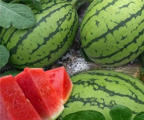 怎么吃瓜最快,三步让你成为吃瓜达人