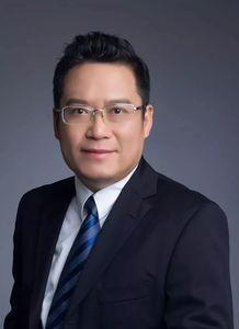 岑岑吃瓜总工,揭秘职场八卦背后的真相