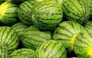 围观吃瓜还有什么,揭秘网络热议背后的真相与趣味