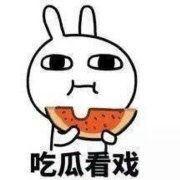 旺财吃瓜表情,萌宠界的“吃瓜群众”