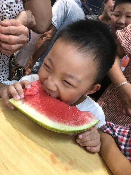 姿态吃小瓜,小瓜盛宴中的欢乐时光
