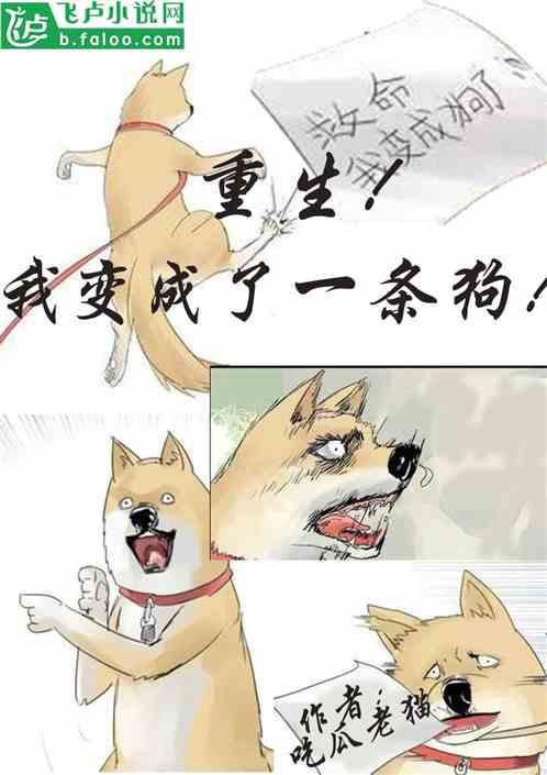 抓马吃瓜小说,抓马吃瓜,揭秘后宫秘闻